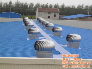 屋頂風機,德州通達通風設備加工廠,屋頂風廠家