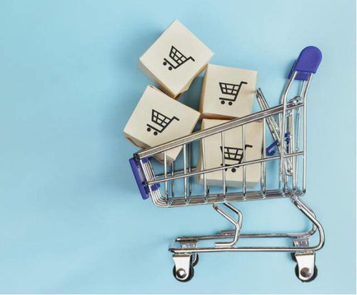 市場細分驅動下的得物 深化經營現狀、挑戰與未來電商平臺突破之路