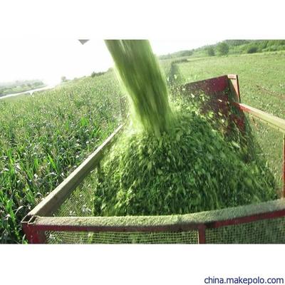 吉林創(chuàng)新發(fā)布懸掛式玉米青儲機割臺 犇牛大型青飼料收割機價格與畜牧飼料銷售新機遇